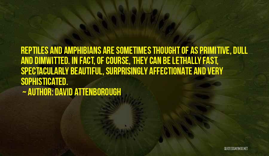 David Attenborough Quotes: Reptiles And Amphibians Are Sometimes Thought Of As Primitive, Dull And Dimwitted. In Fact, Of Course, They Can Be Lethally