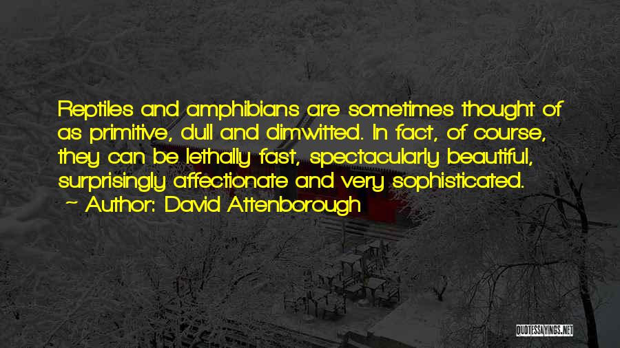 David Attenborough Quotes: Reptiles And Amphibians Are Sometimes Thought Of As Primitive, Dull And Dimwitted. In Fact, Of Course, They Can Be Lethally