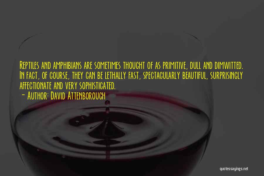 David Attenborough Quotes: Reptiles And Amphibians Are Sometimes Thought Of As Primitive, Dull And Dimwitted. In Fact, Of Course, They Can Be Lethally