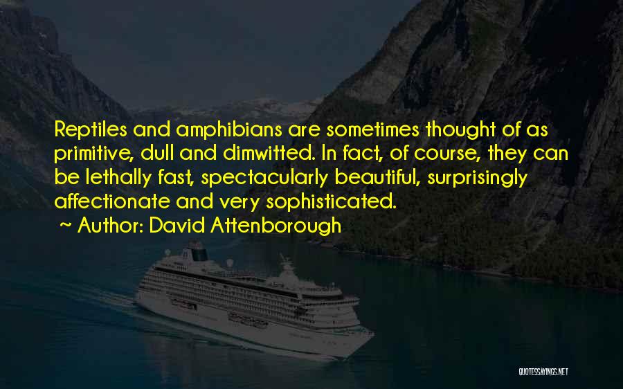 David Attenborough Quotes: Reptiles And Amphibians Are Sometimes Thought Of As Primitive, Dull And Dimwitted. In Fact, Of Course, They Can Be Lethally