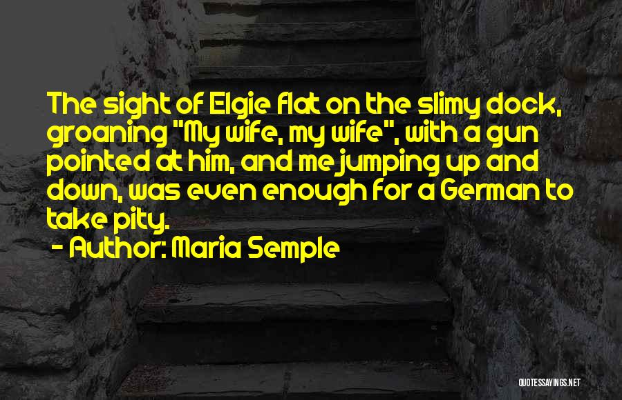 Maria Semple Quotes: The Sight Of Elgie Flat On The Slimy Dock, Groaning My Wife, My Wife, With A Gun Pointed At Him,