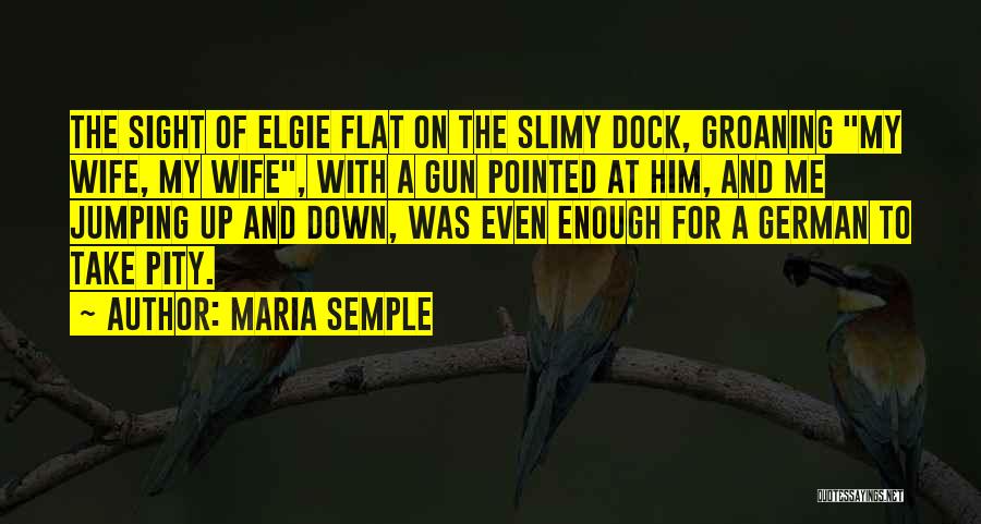 Maria Semple Quotes: The Sight Of Elgie Flat On The Slimy Dock, Groaning My Wife, My Wife, With A Gun Pointed At Him,