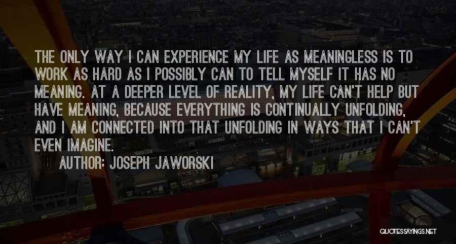 Joseph Jaworski Quotes: The Only Way I Can Experience My Life As Meaningless Is To Work As Hard As I Possibly Can To