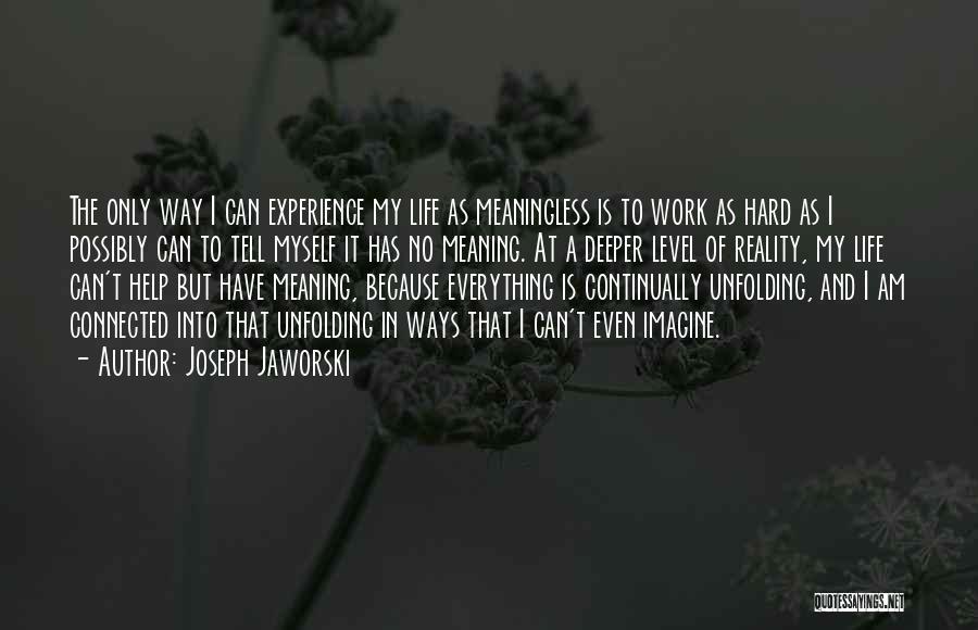 Joseph Jaworski Quotes: The Only Way I Can Experience My Life As Meaningless Is To Work As Hard As I Possibly Can To