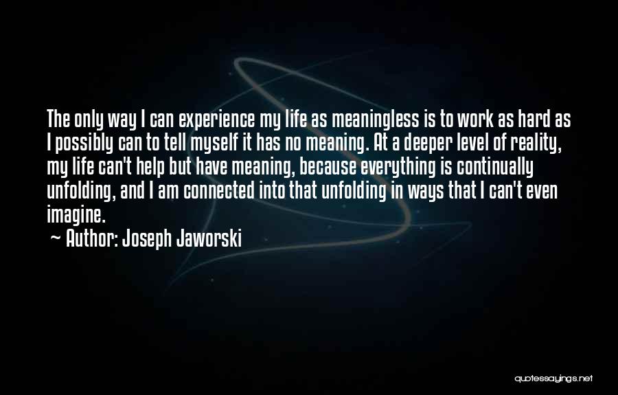 Joseph Jaworski Quotes: The Only Way I Can Experience My Life As Meaningless Is To Work As Hard As I Possibly Can To