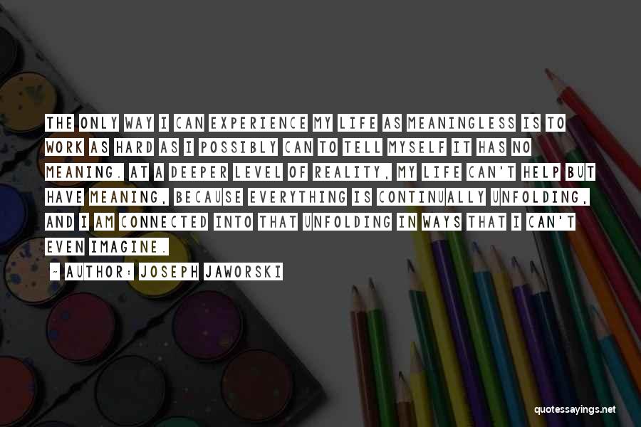 Joseph Jaworski Quotes: The Only Way I Can Experience My Life As Meaningless Is To Work As Hard As I Possibly Can To