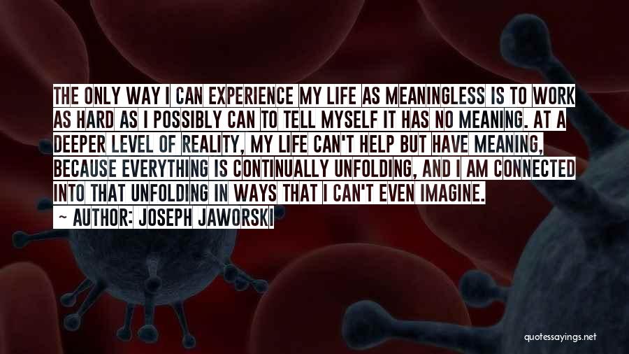 Joseph Jaworski Quotes: The Only Way I Can Experience My Life As Meaningless Is To Work As Hard As I Possibly Can To