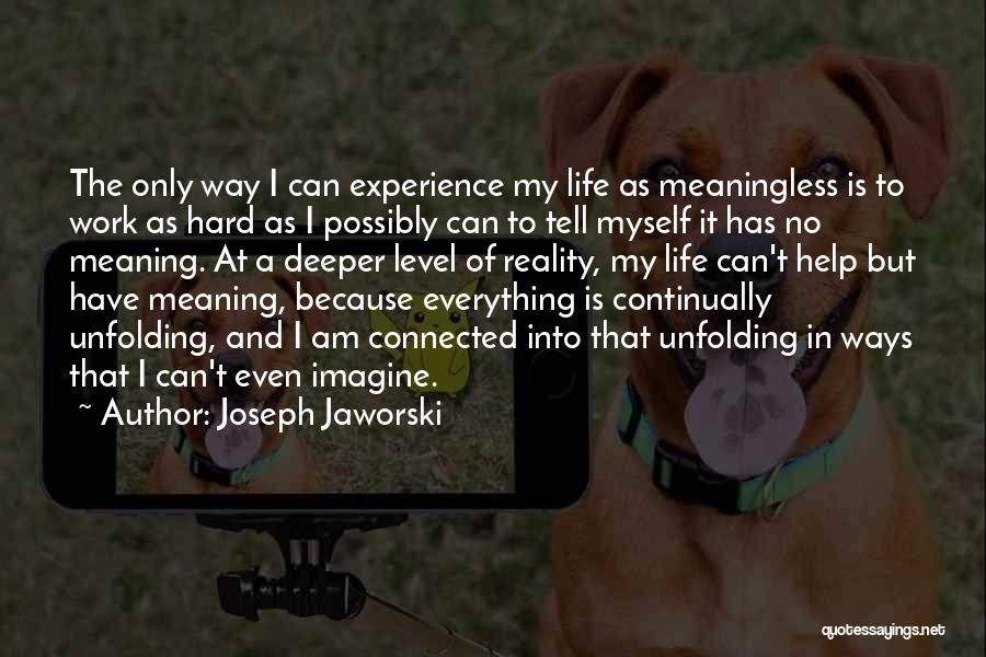 Joseph Jaworski Quotes: The Only Way I Can Experience My Life As Meaningless Is To Work As Hard As I Possibly Can To