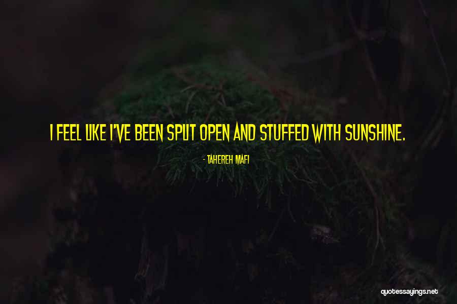 11370 Quotes By Tahereh Mafi 11370 Quotes By Tahereh Mafi