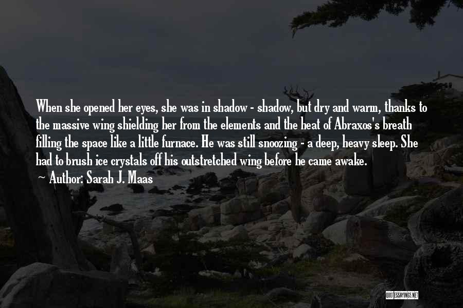 Sarah J. Maas Quotes: When She Opened Her Eyes, She Was In Shadow - Shadow, But Dry And Warm, Thanks To The Massive Wing