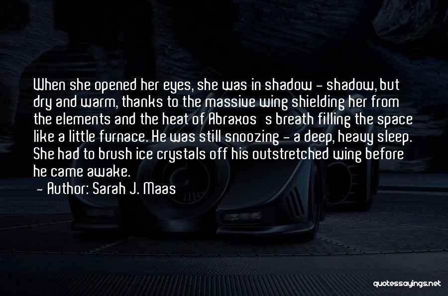 Sarah J. Maas Quotes: When She Opened Her Eyes, She Was In Shadow - Shadow, But Dry And Warm, Thanks To The Massive Wing