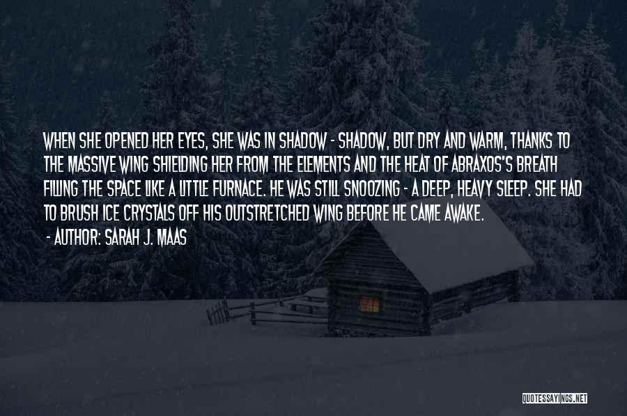 Sarah J. Maas Quotes: When She Opened Her Eyes, She Was In Shadow - Shadow, But Dry And Warm, Thanks To The Massive Wing