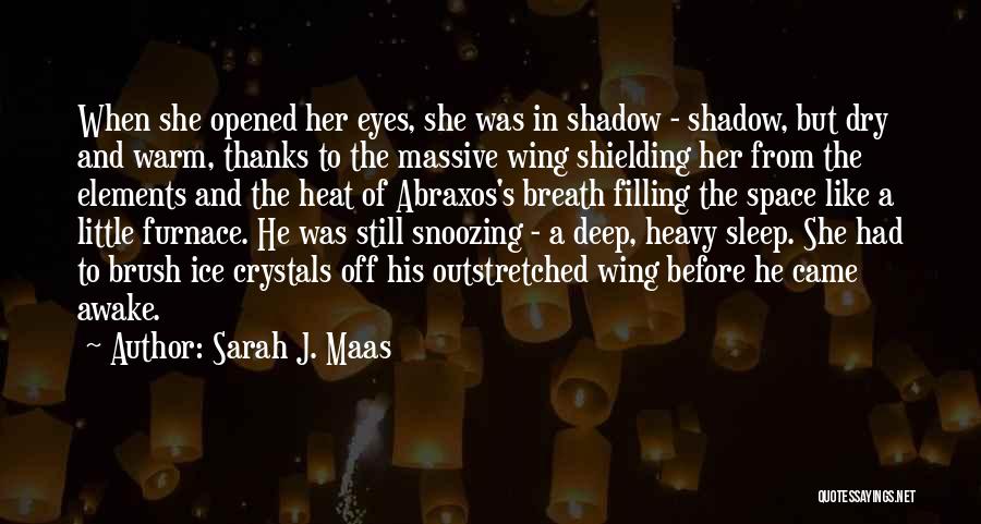 Sarah J. Maas Quotes: When She Opened Her Eyes, She Was In Shadow - Shadow, But Dry And Warm, Thanks To The Massive Wing