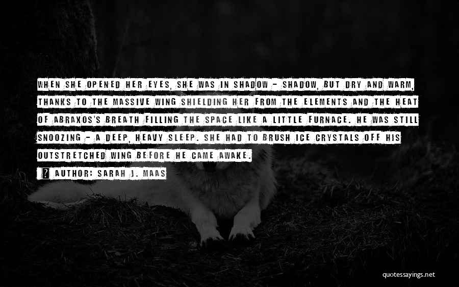 Sarah J. Maas Quotes: When She Opened Her Eyes, She Was In Shadow - Shadow, But Dry And Warm, Thanks To The Massive Wing