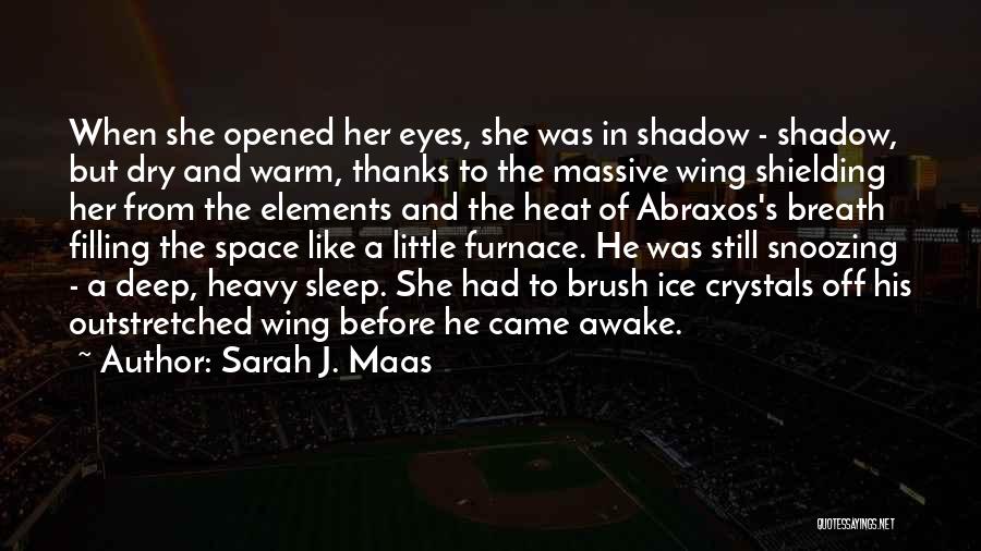 Sarah J. Maas Quotes: When She Opened Her Eyes, She Was In Shadow - Shadow, But Dry And Warm, Thanks To The Massive Wing