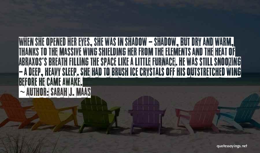 Sarah J. Maas Quotes: When She Opened Her Eyes, She Was In Shadow - Shadow, But Dry And Warm, Thanks To The Massive Wing