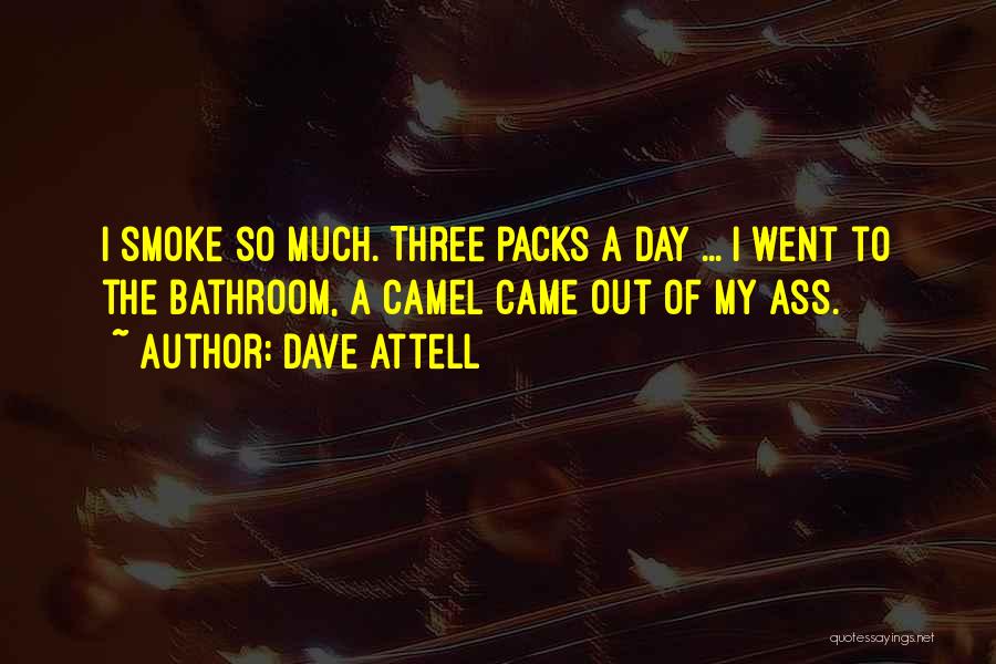 Dave Attell Quotes: I Smoke So Much. Three Packs A Day ... I Went To The Bathroom, A Camel Came Out Of My