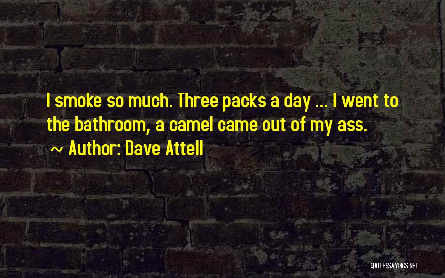 Dave Attell Quotes: I Smoke So Much. Three Packs A Day ... I Went To The Bathroom, A Camel Came Out Of My