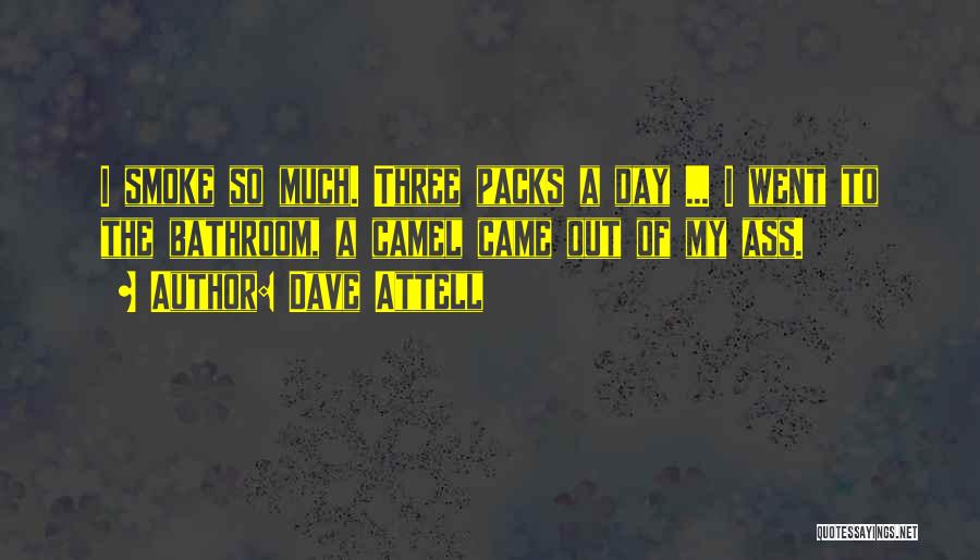 Dave Attell Quotes: I Smoke So Much. Three Packs A Day ... I Went To The Bathroom, A Camel Came Out Of My