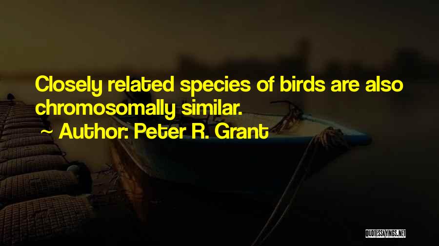 Peter R. Grant Quotes: Closely Related Species Of Birds Are Also Chromosomally Similar.