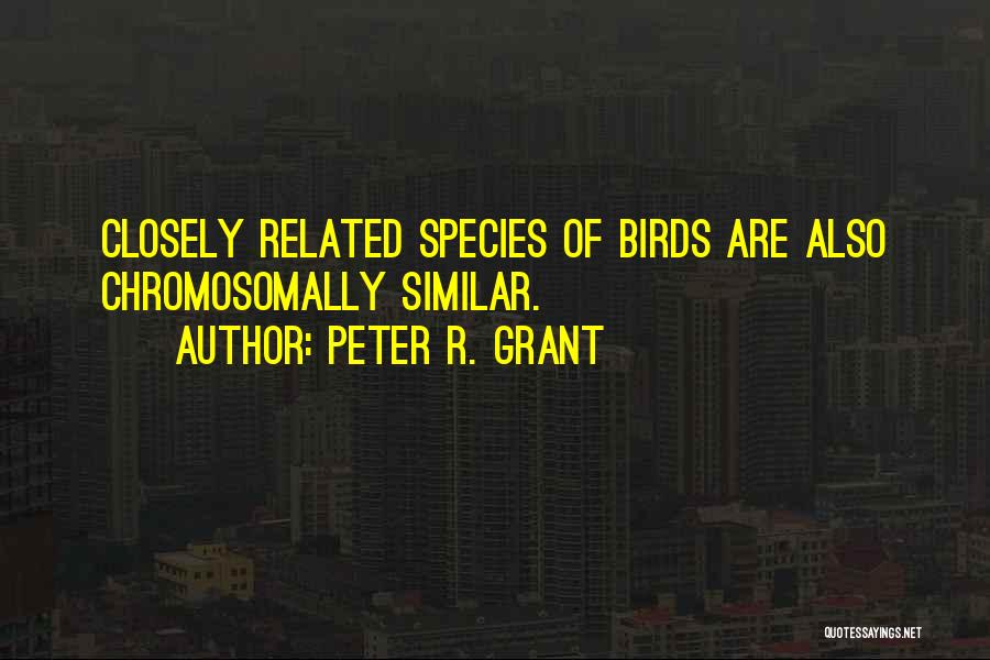 Peter R. Grant Quotes: Closely Related Species Of Birds Are Also Chromosomally Similar.