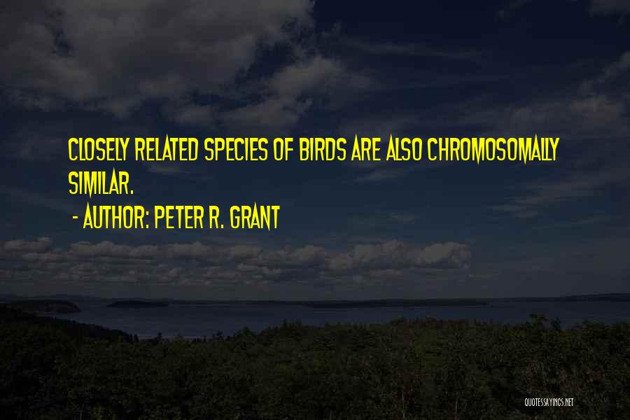 Peter R. Grant Quotes: Closely Related Species Of Birds Are Also Chromosomally Similar.