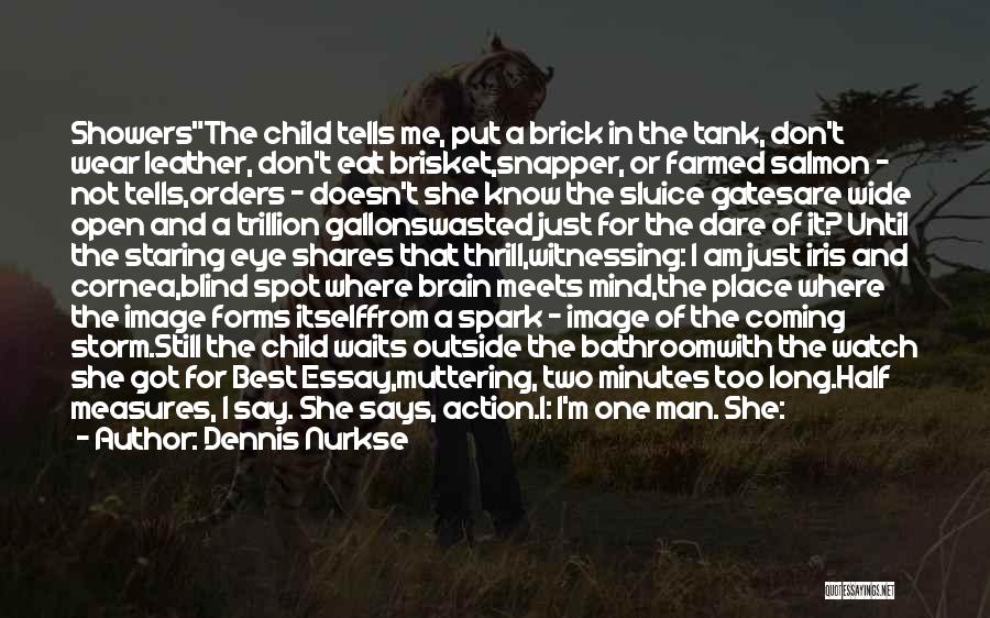 Dennis Nurkse Quotes: Showersthe Child Tells Me, Put A Brick In The Tank, Don't Wear Leather, Don't Eat Brisket,snapper, Or Farmed Salmon -