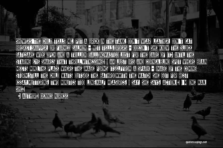Dennis Nurkse Quotes: Showersthe Child Tells Me, Put A Brick In The Tank, Don't Wear Leather, Don't Eat Brisket,snapper, Or Farmed Salmon -
