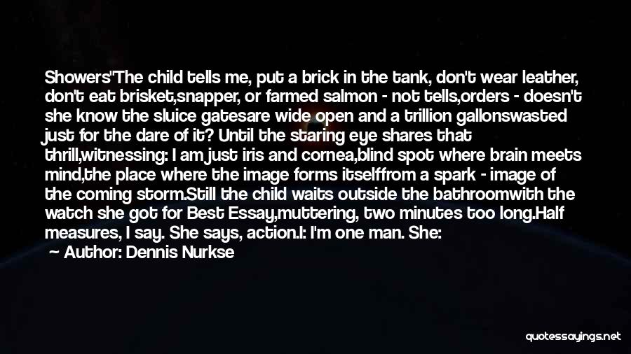Dennis Nurkse Quotes: Showersthe Child Tells Me, Put A Brick In The Tank, Don't Wear Leather, Don't Eat Brisket,snapper, Or Farmed Salmon -