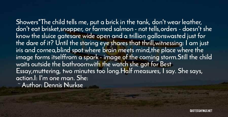 Dennis Nurkse Quotes: Showersthe Child Tells Me, Put A Brick In The Tank, Don't Wear Leather, Don't Eat Brisket,snapper, Or Farmed Salmon -