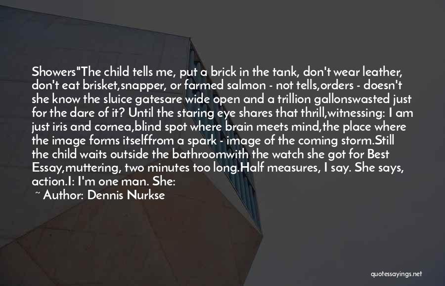 Dennis Nurkse Quotes: Showersthe Child Tells Me, Put A Brick In The Tank, Don't Wear Leather, Don't Eat Brisket,snapper, Or Farmed Salmon -