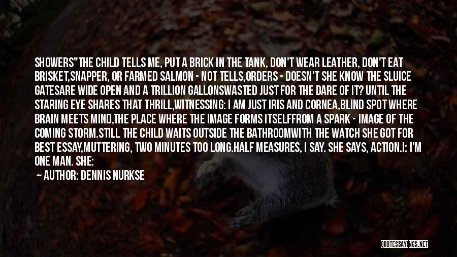 Dennis Nurkse Quotes: Showersthe Child Tells Me, Put A Brick In The Tank, Don't Wear Leather, Don't Eat Brisket,snapper, Or Farmed Salmon -