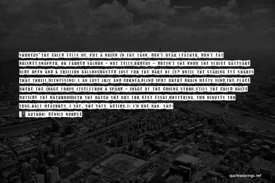 Dennis Nurkse Quotes: Showersthe Child Tells Me, Put A Brick In The Tank, Don't Wear Leather, Don't Eat Brisket,snapper, Or Farmed Salmon -