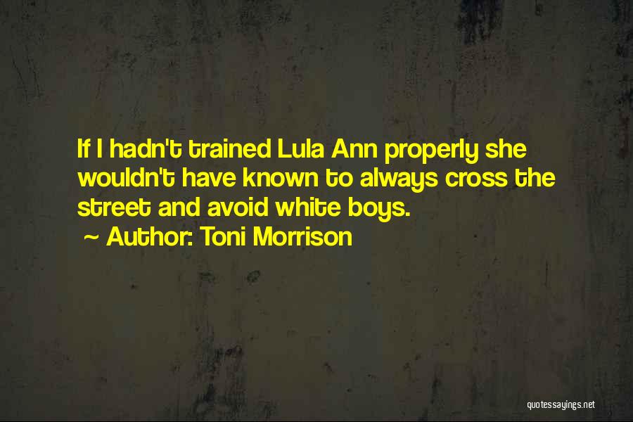 Toni Morrison Quotes: If I Hadn't Trained Lula Ann Properly She Wouldn't Have Known To Always Cross The Street And Avoid White Boys.