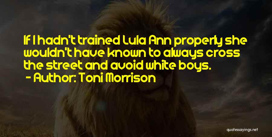 Toni Morrison Quotes: If I Hadn't Trained Lula Ann Properly She Wouldn't Have Known To Always Cross The Street And Avoid White Boys.