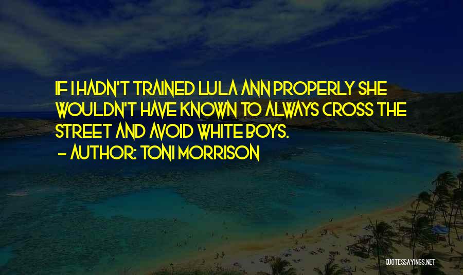 Toni Morrison Quotes: If I Hadn't Trained Lula Ann Properly She Wouldn't Have Known To Always Cross The Street And Avoid White Boys.