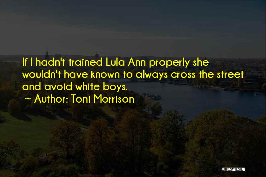 Toni Morrison Quotes: If I Hadn't Trained Lula Ann Properly She Wouldn't Have Known To Always Cross The Street And Avoid White Boys.