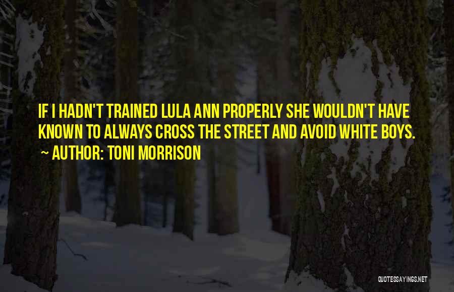 Toni Morrison Quotes: If I Hadn't Trained Lula Ann Properly She Wouldn't Have Known To Always Cross The Street And Avoid White Boys.