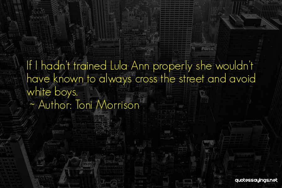 Toni Morrison Quotes: If I Hadn't Trained Lula Ann Properly She Wouldn't Have Known To Always Cross The Street And Avoid White Boys.