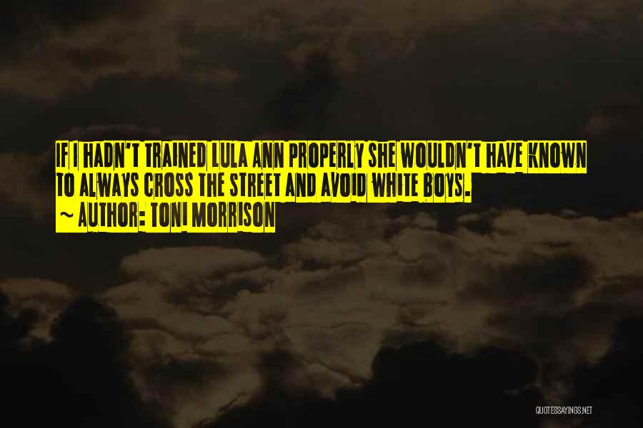 Toni Morrison Quotes: If I Hadn't Trained Lula Ann Properly She Wouldn't Have Known To Always Cross The Street And Avoid White Boys.