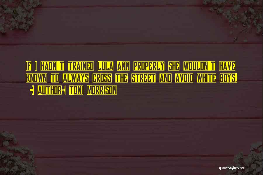 Toni Morrison Quotes: If I Hadn't Trained Lula Ann Properly She Wouldn't Have Known To Always Cross The Street And Avoid White Boys.