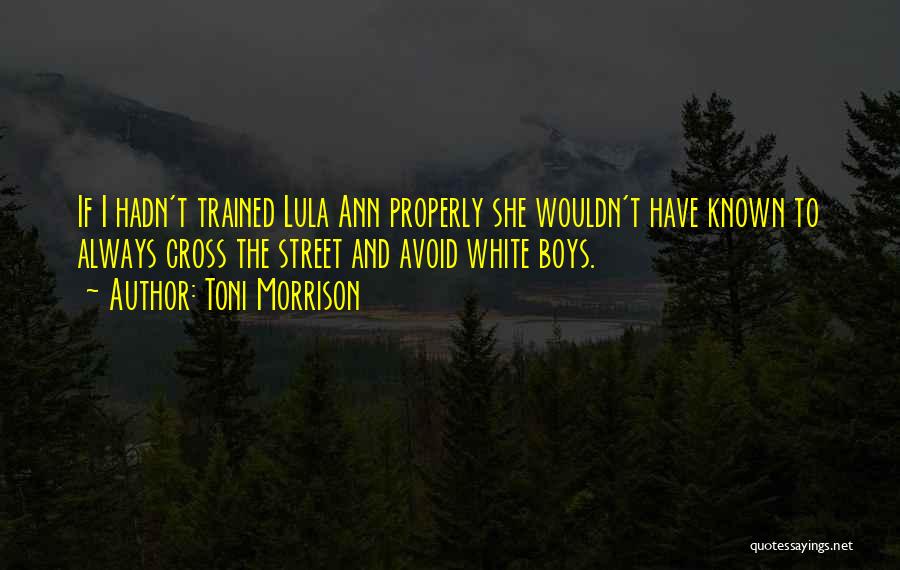 Toni Morrison Quotes: If I Hadn't Trained Lula Ann Properly She Wouldn't Have Known To Always Cross The Street And Avoid White Boys.