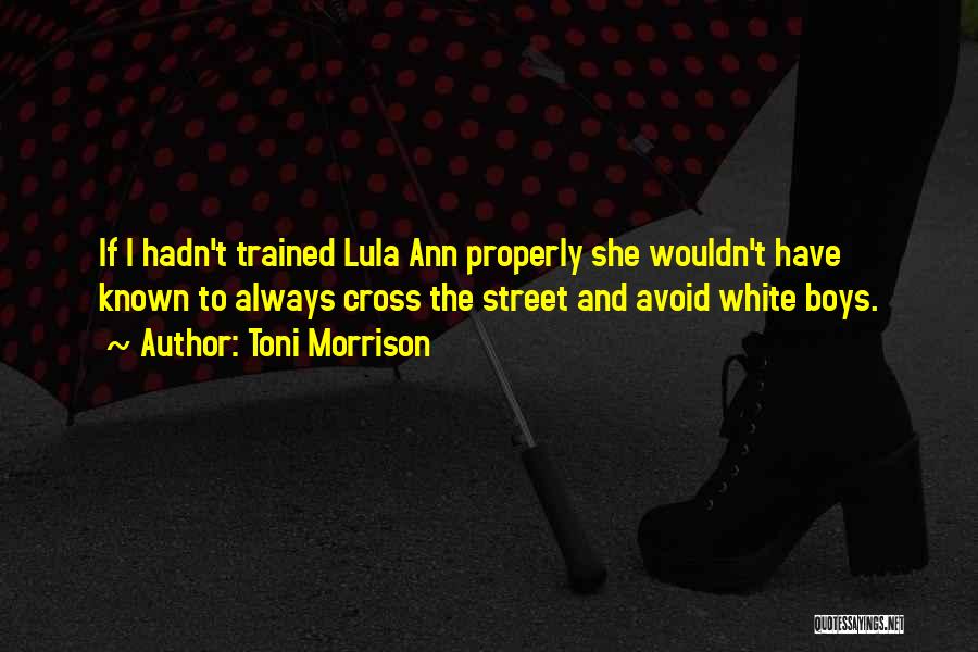 Toni Morrison Quotes: If I Hadn't Trained Lula Ann Properly She Wouldn't Have Known To Always Cross The Street And Avoid White Boys.