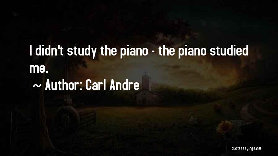 Carl Andre Quotes: I Didn't Study The Piano - The Piano Studied Me.