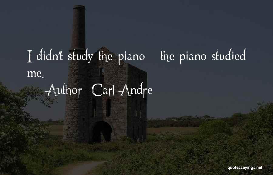 Carl Andre Quotes: I Didn't Study The Piano - The Piano Studied Me.