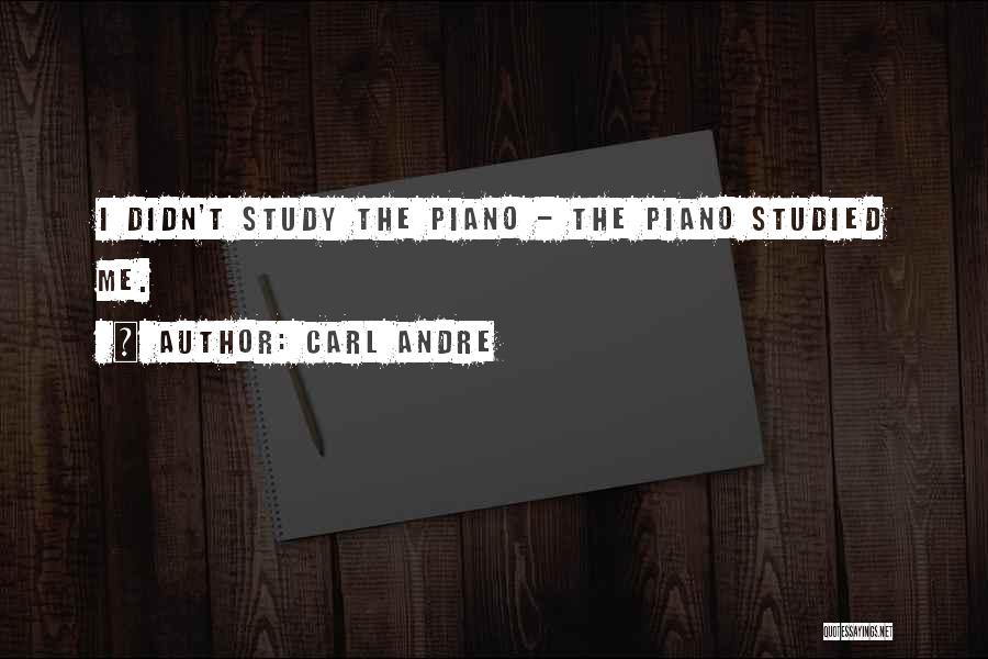 Carl Andre Quotes: I Didn't Study The Piano - The Piano Studied Me.