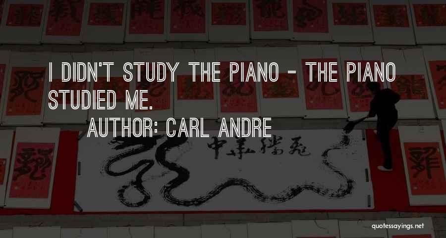 Carl Andre Quotes: I Didn't Study The Piano - The Piano Studied Me.