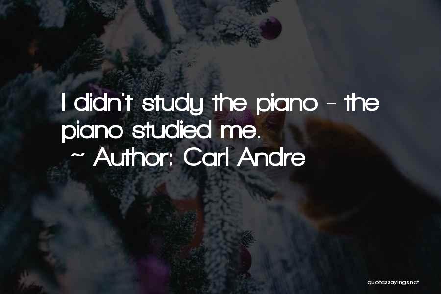 Carl Andre Quotes: I Didn't Study The Piano - The Piano Studied Me.