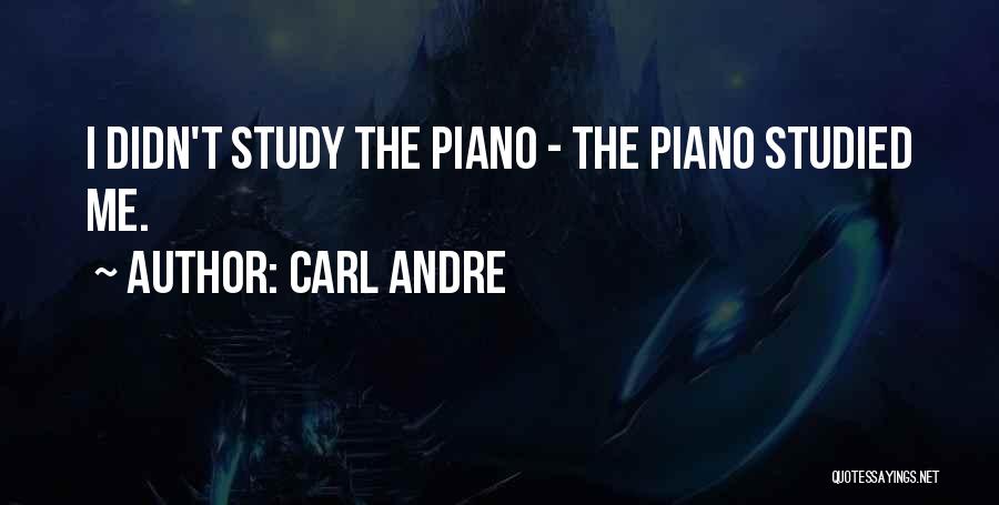 Carl Andre Quotes: I Didn't Study The Piano - The Piano Studied Me.