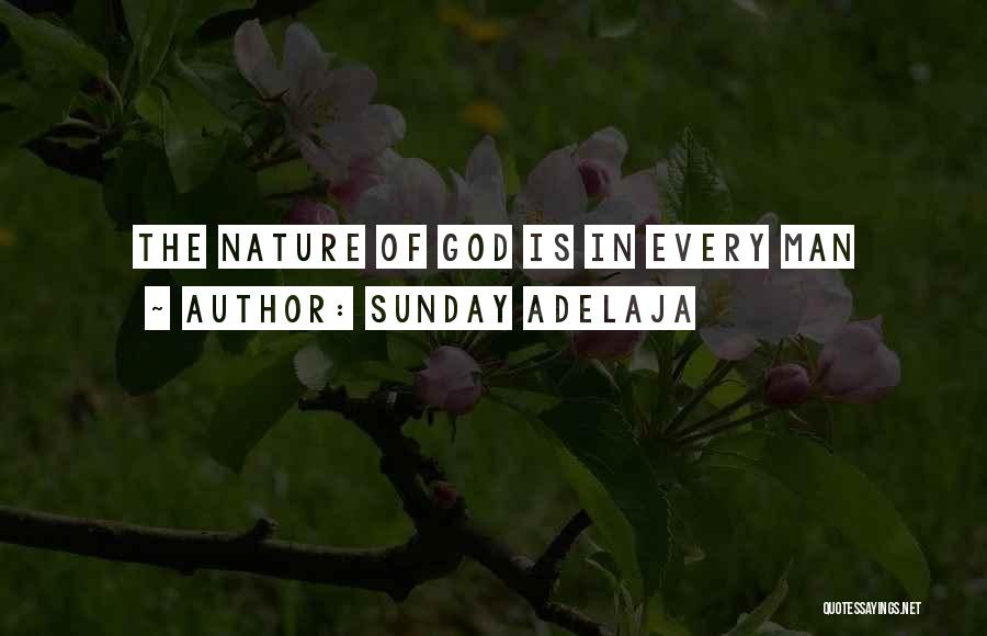 Sunday Adelaja Quotes: The Nature Of God Is In Every Man